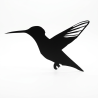 Hummingbird - Vector graphics